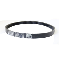 Transmission Belt-1
