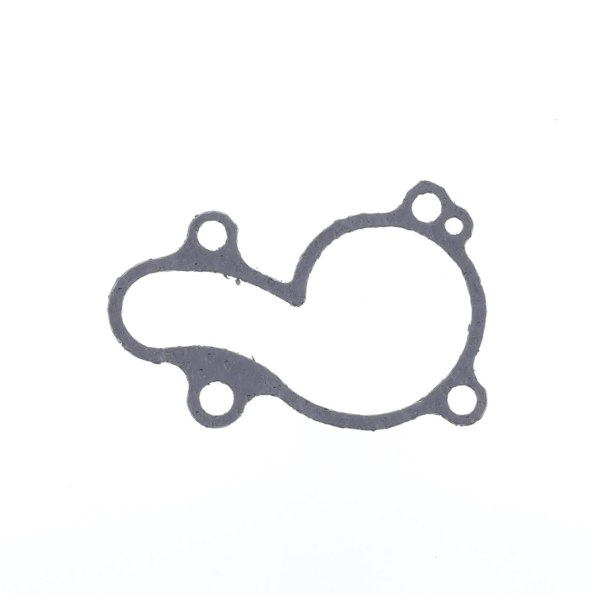 Water Pump Cover Gasket-0