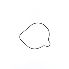 Water Pump Cover Gasket-0