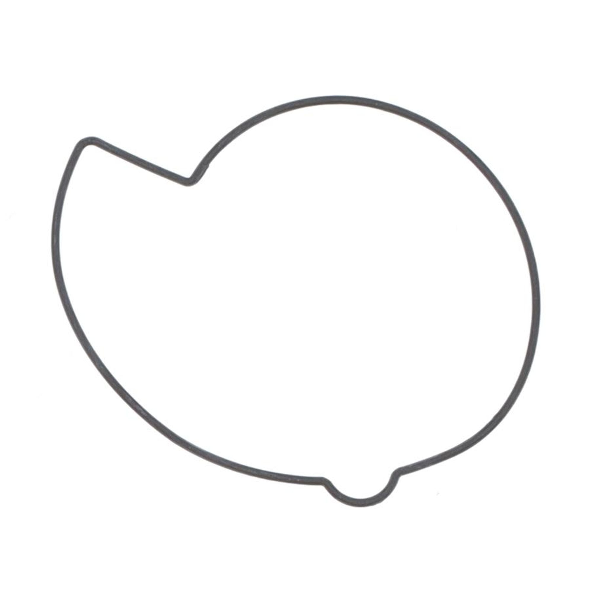 Water Pump Cover Gasket-0