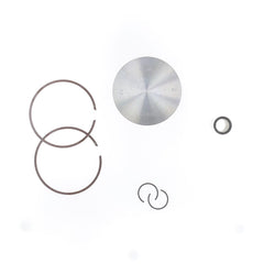 2T Cast Piston Ø 66,36 mm for OE Cylinder-1