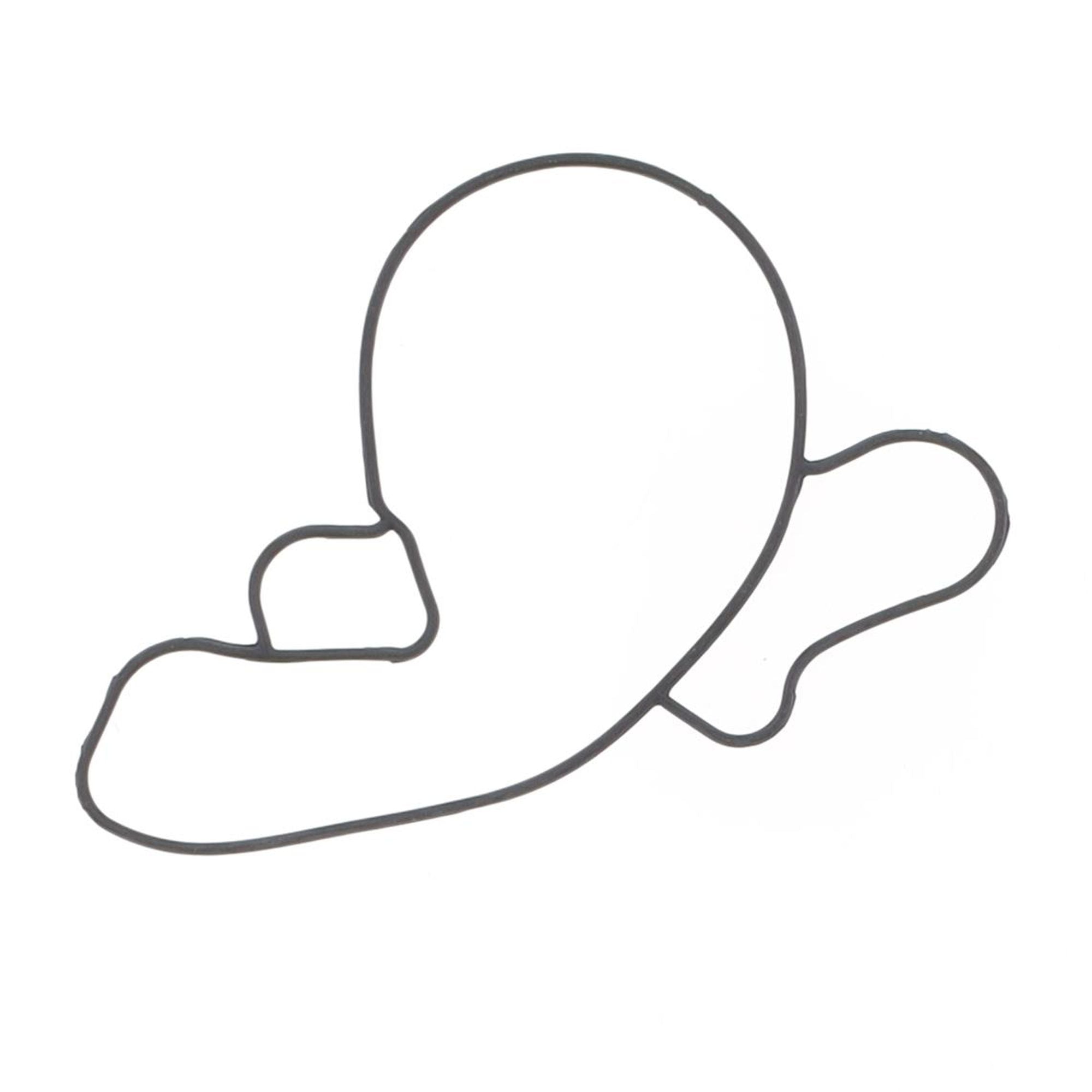 Water Pump Cover Gasket-0