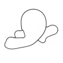 Water Pump Cover Gasket-0